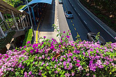 《彩虹六号：围攻》下赛季引入新机制 防止连续伤害队友